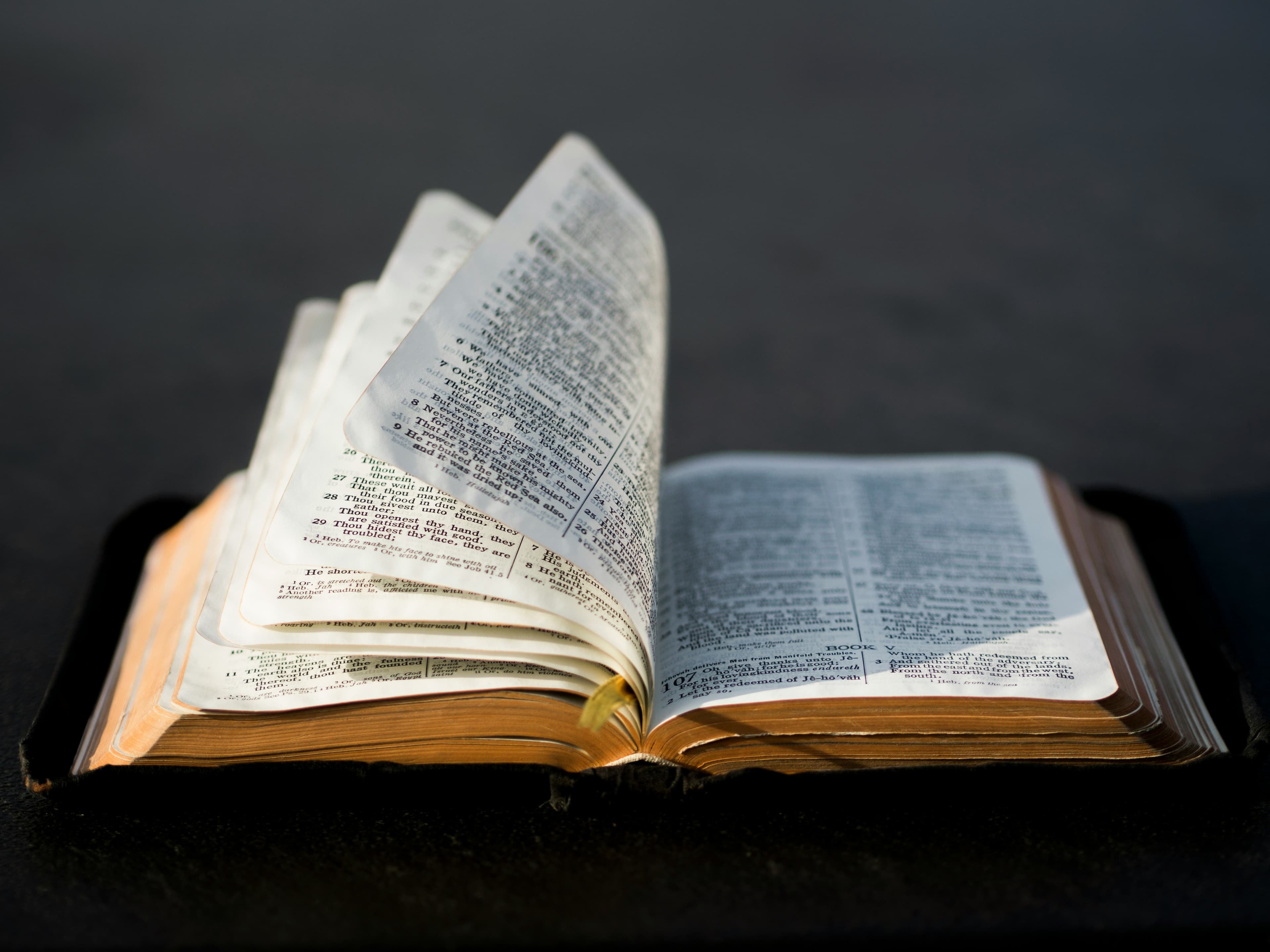 Feeding on The Revealed Word of God